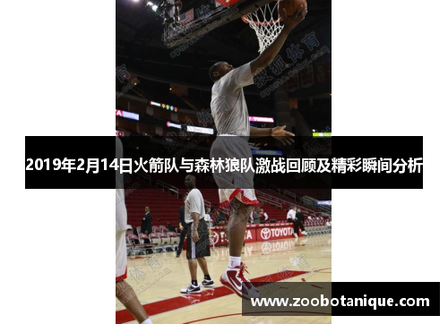2019年2月14日火箭队与森林狼队激战回顾及精彩瞬间分析